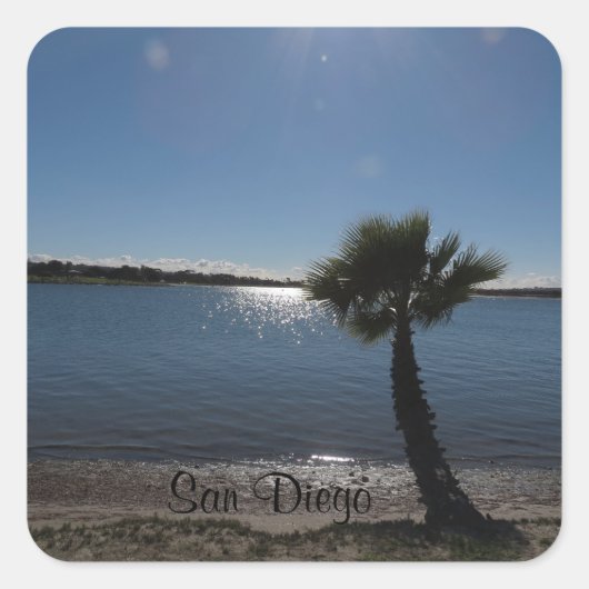 San Diego Palm Tree Sticker (Vorderseite)