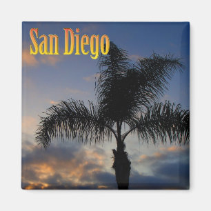 San Diego Palme-Magnet Magnet
