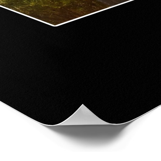 San Diego Poster (Ecke)