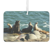 San Diego Sea Lions Autolufterfrischer (Rückseite)