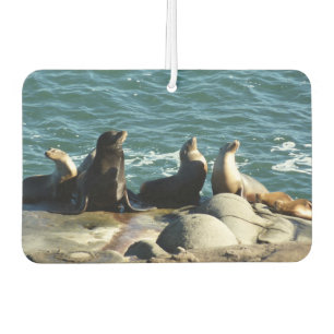 San Diego Sea Lions Autolufterfrischer