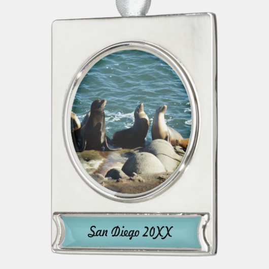 San Diego Sea Lions Banner-Ornament Silber (Links)