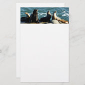 San Diego Sea Lions Briefpapier (Vorne/Hinten)