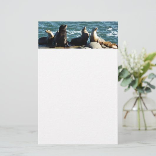San Diego Sea Lions Briefpapier (Stehend Vorderseite)