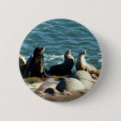 San Diego Sea Lions Button (Vorderseite)