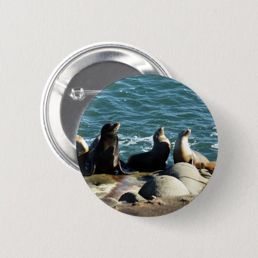 San Diego Sea Lions Button (Vorne & Hinten)