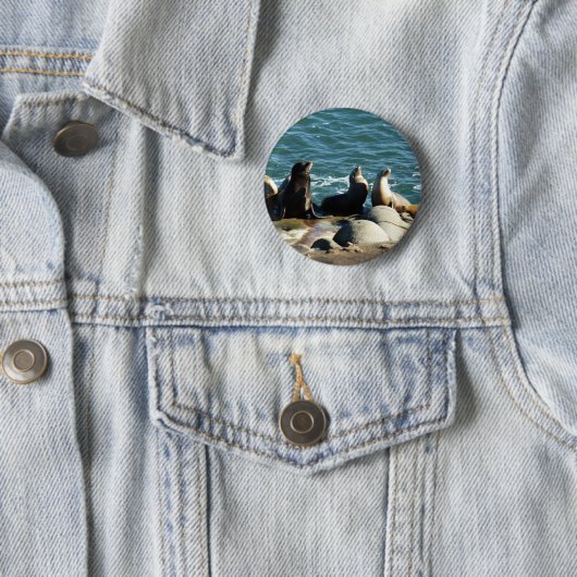 San Diego Sea Lions Button (Beispiel)
