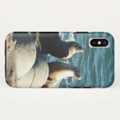 San Diego Sea Lions Case-Mate iPhone Hülle (Rückseite (Horizontal))