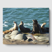 San Diego Sea Lions Gästebuch (Rückseite)
