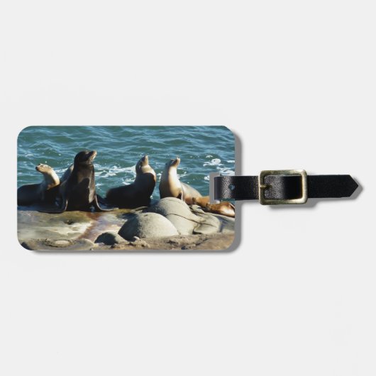San Diego Sea Lions Gepäckanhänger (Vorderseite horizontal)
