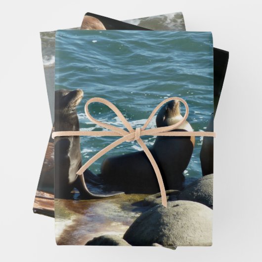 San Diego Sea Lions Geschenkpapier Set (Beispiel)