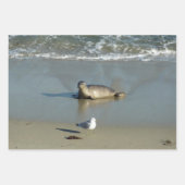 San Diego Sea Lions Geschenkpapier Set (Vorderseite 3)