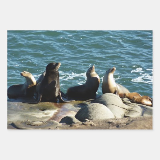 San Diego Sea Lions Geschenkpapier Set (Vorderseite 2)