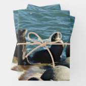 San Diego Sea Lions Geschenkpapier Set (Beispiel)