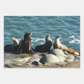 San Diego Sea Lions Geschenkpapier Set (Vorderseite 3)