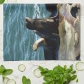 San Diego Sea Lions Geschirrtuch (Gefaltet)