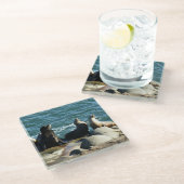 San Diego Sea Lions Glasuntersetzer (Schrägansicht)