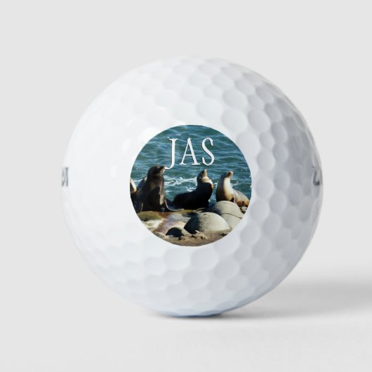 San Diego Sea Lions Golfball (Vorderseite)