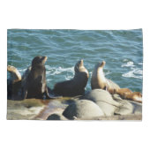 San Diego Sea Lions Kissenbezug (Rückseite)