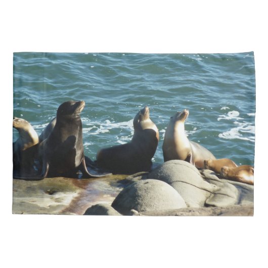 San Diego Sea Lions Kissenbezug (Rückseite)