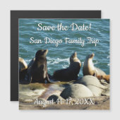 San Diego Sea Lions Magnetkarte (Vorne/Hinten)