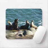 San Diego Sea Lions Mousepad (Mit Mouse)