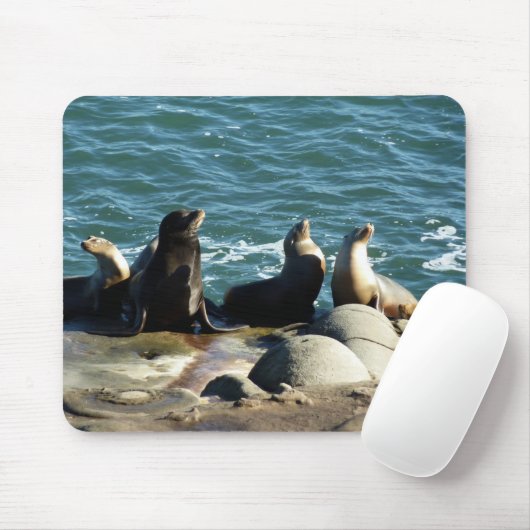 San Diego Sea Lions Mousepad (Mit Mouse)