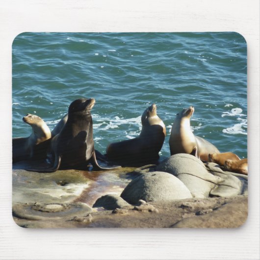 San Diego Sea Lions Mousepad (Vorne)