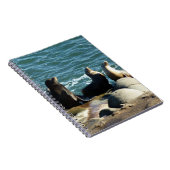 San Diego Sea Lions Notizblock (Rechte Seite)