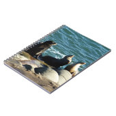San Diego Sea Lions Notizblock (Linke Seite)