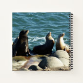 San Diego Sea Lions Notizblock (Rückseite)