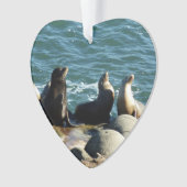 San Diego Sea Lions Ornament (Vorderseite)