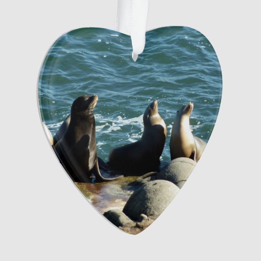 San Diego Sea Lions Ornament (Vorderseite)