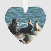 San Diego Sea Lions Ornament (Rückseite)