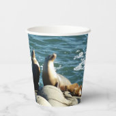 San Diego Sea Lions Pappbecher (Rückseite)