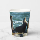 San Diego Sea Lions Pappbecher (Links)