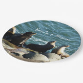San Diego Sea Lions Pappteller (Schrägansicht)