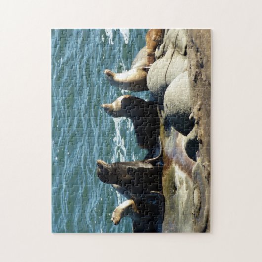 San Diego Sea Lions Puzzle (Vertikal)