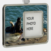 San Diego Sea Lions Rahmen-Ornament Silber (Rechts)