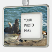 San Diego Sea Lions Rahmen-Ornament Silber (Links)