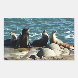 San Diego Sea Lions Rechteckiger Aufkleber