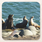 San Diego Sea Lions Rechteckiger Pappuntersetzer (Vorderseite)