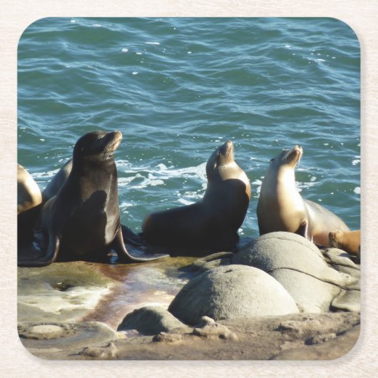 San Diego Sea Lions Rechteckiger Pappuntersetzer (Vorderseite)