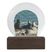 San Diego Sea Lions Schneekugel (Rückseite)