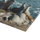 San Diego Sea Lions Schneidebrett (Ecke)