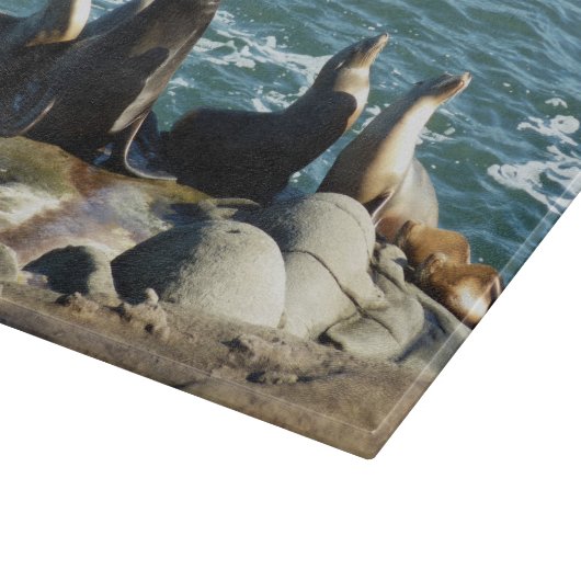 San Diego Sea Lions Schneidebrett (Ecke)