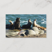 San Diego Sea Lions Visitenkarte (Rückseite)