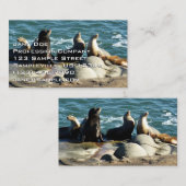 San Diego Sea Lions Visitenkarte (Vorne/Hinten)