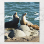 San Diego Sea Lions Weinetikett (Einzelnes Label)