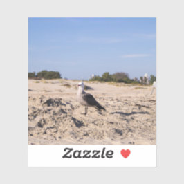 San Diego Seagull Aufkleber